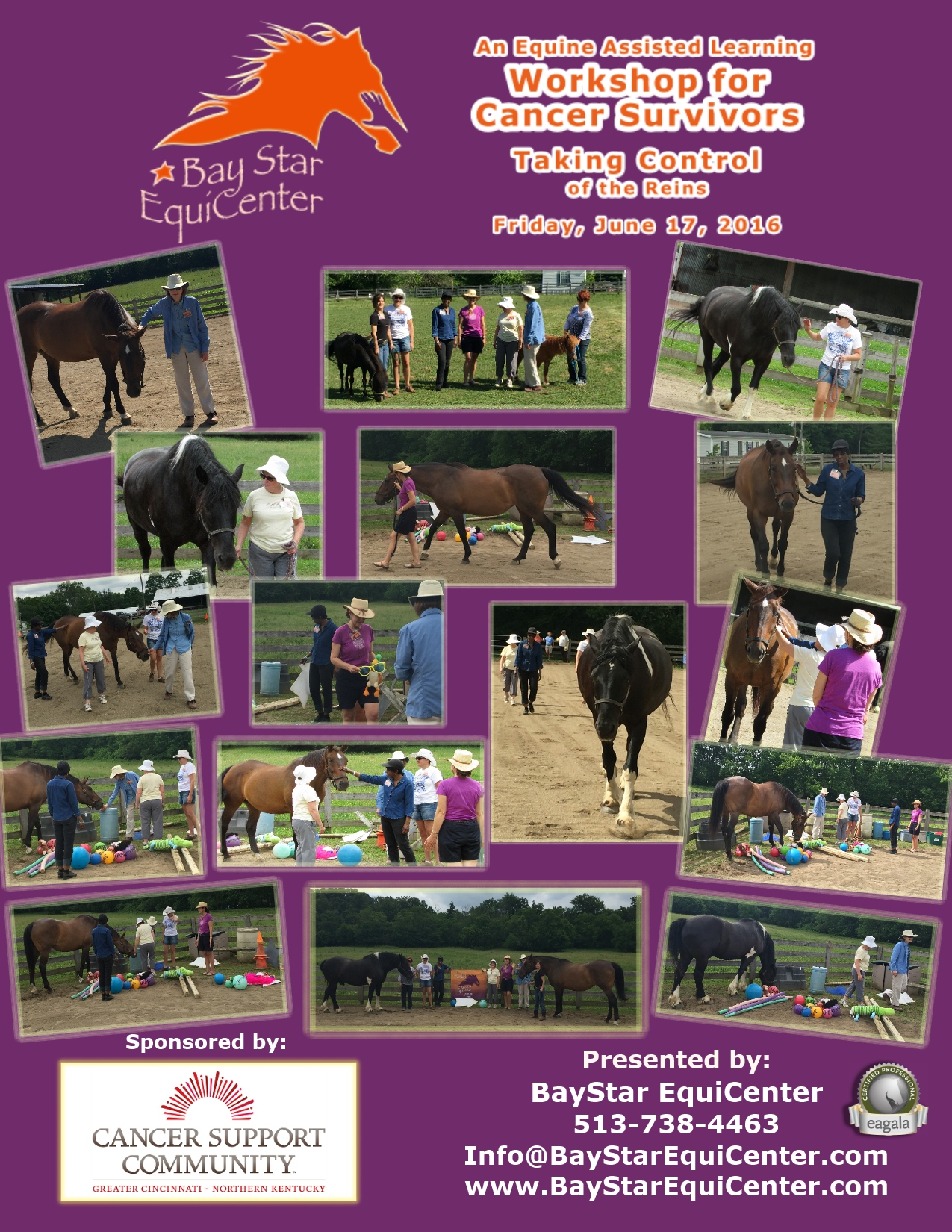 Equine